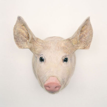 Kim Waldron — artwork