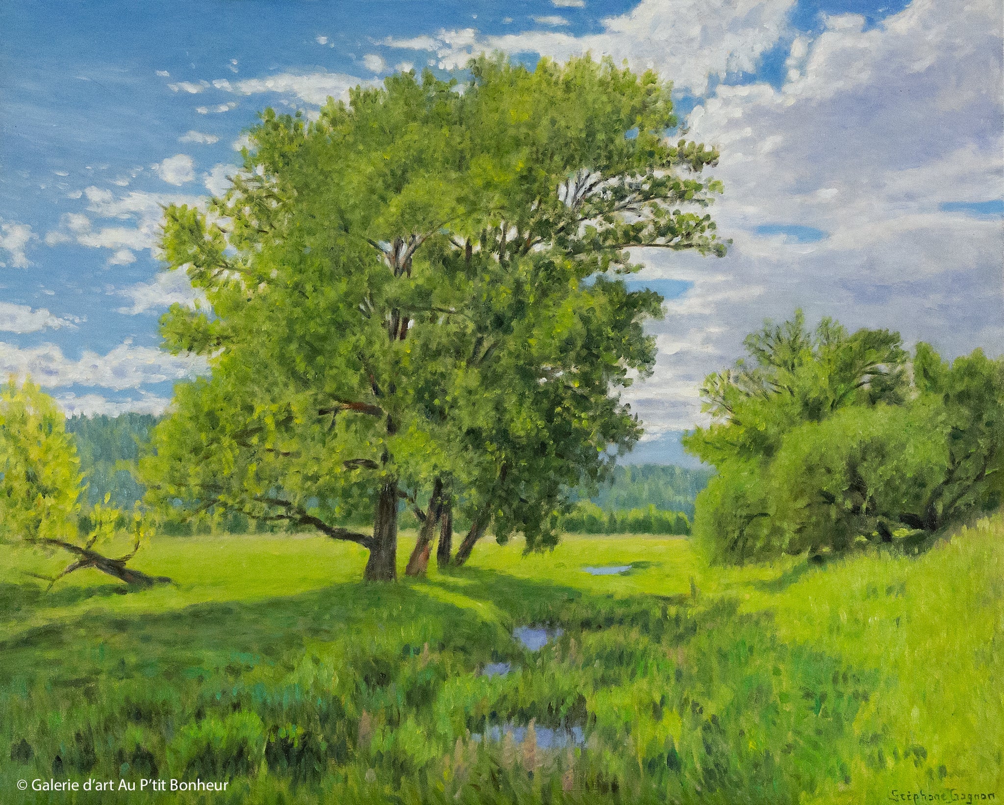 Stephane Gagnon — artwork