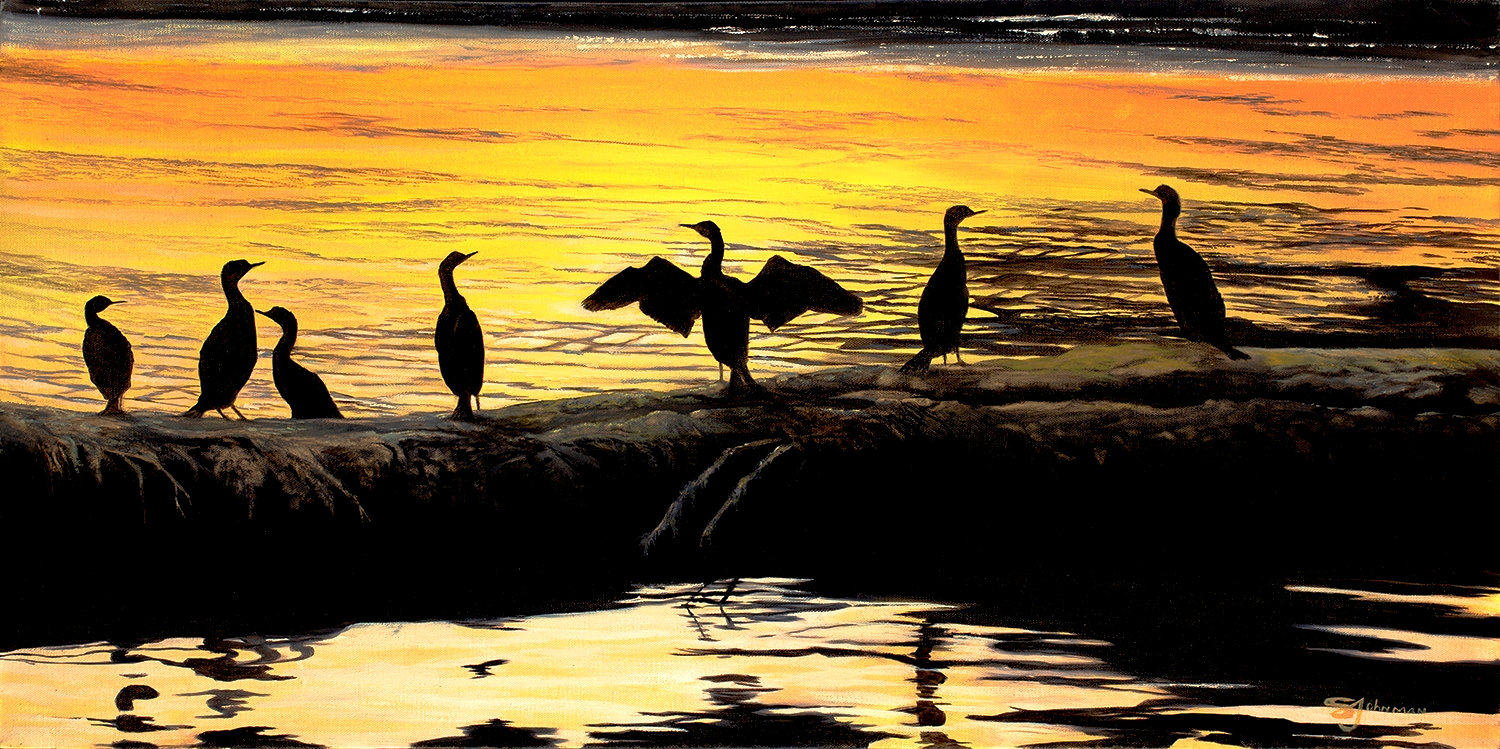 Sandra Johnman — artwork