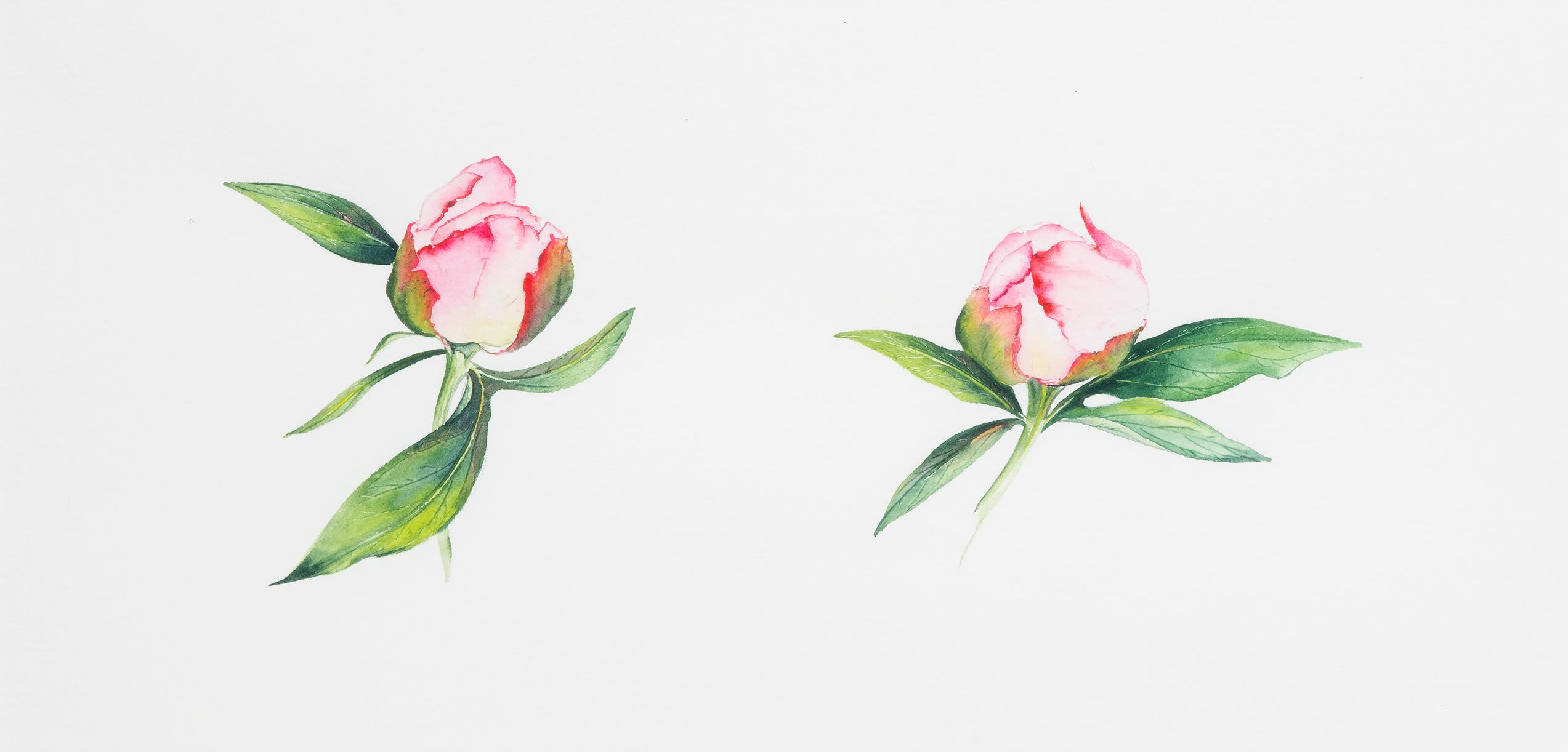 Donna Kriekle — artwork