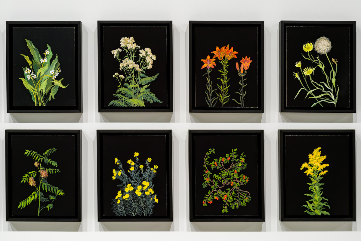 Clara Hume — artwork