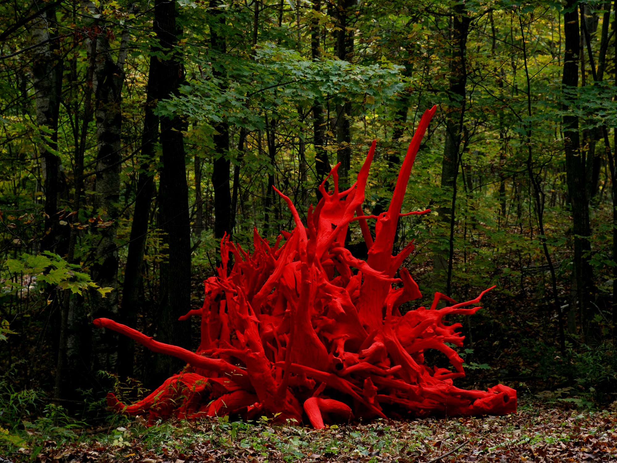 Shayne Dark — artwork