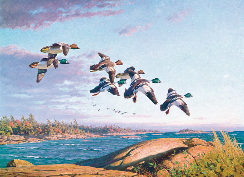 Dwayne Harty — artwork