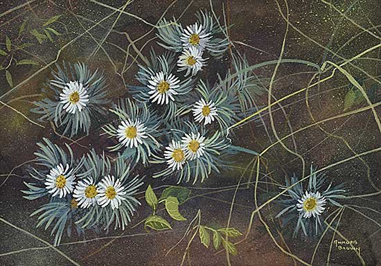 Annora Brown — artwork