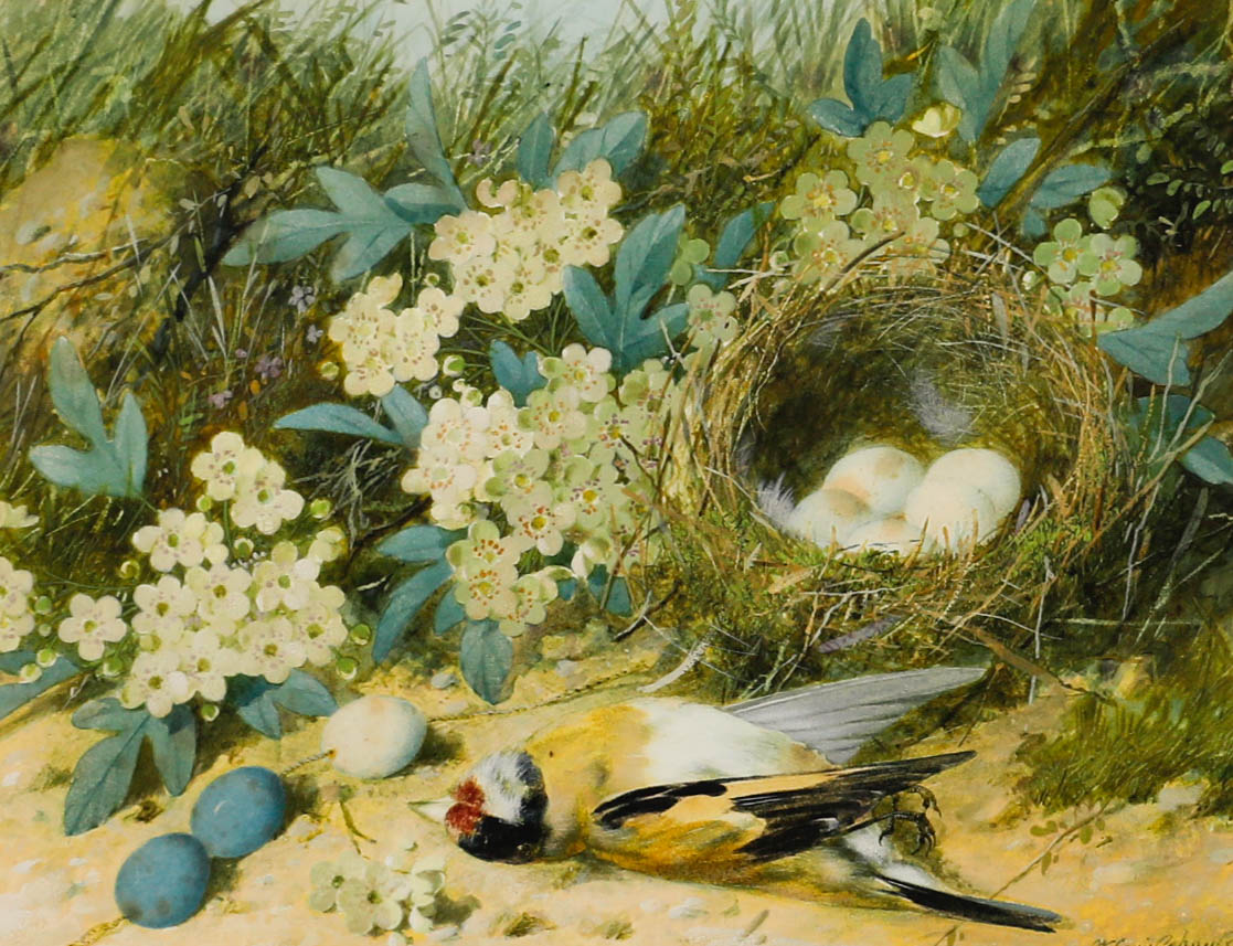 William Cruikshank — artwork