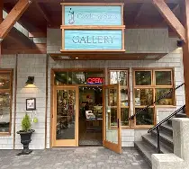 Catching Stars Gallery