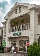 The Shayne Gallery