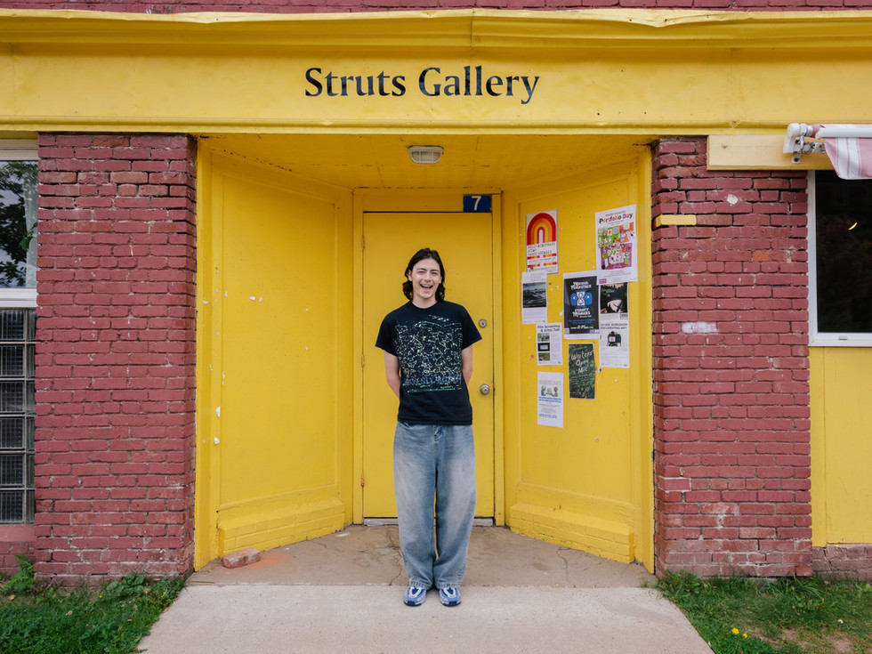 Struts Gallery
