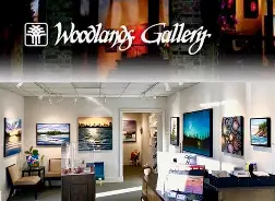 Gallery Artists Archives – Woodlands Gallery